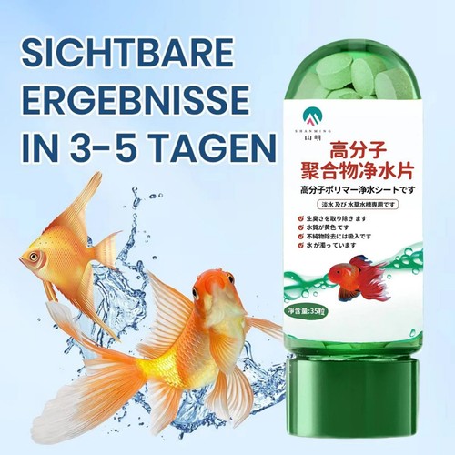 Cleaning algae - cleaning,