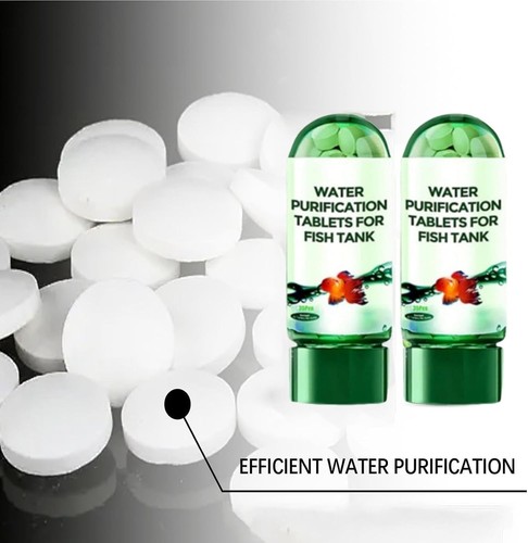 Aquarium fish tank water - fish,