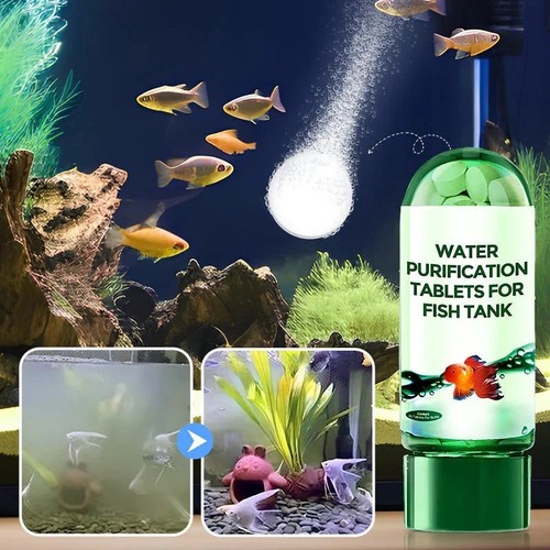 Cleaning algae - cleaning,