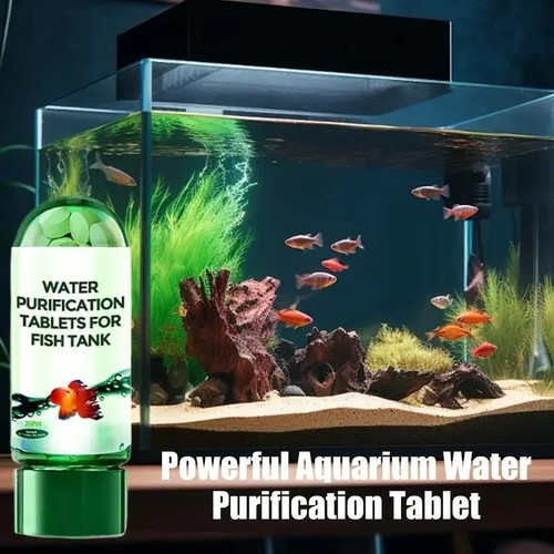Aquarium fish tank water - aquarium,