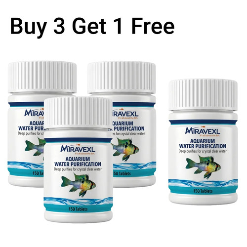 Aquarium water purification - aquarium,